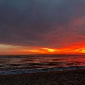 Meet your Posher, Allen